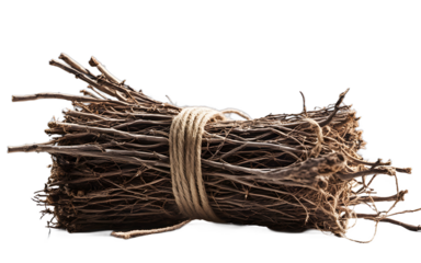 Bundle of twigs tied together with twine, isolated on a empty plain background