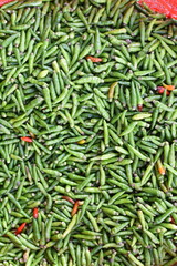 green chilli peppers texture background. Top view.