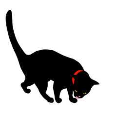 Black cat in my room 01