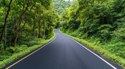 Obraz premium Road Through Lush Green Forest