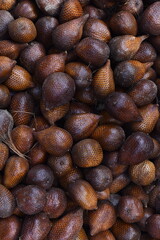 healthy and fresh snakefruit neatly arranged for sale in the market. healthy and fresh fruit background.