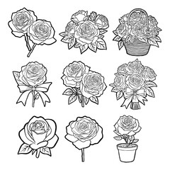 Hand Drawn Beautiful Roses Outline. Vector illustration about Nature.