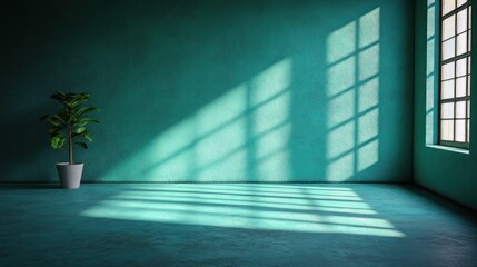 Sunlit teal room with plant