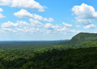 Obraz premium The amazonas