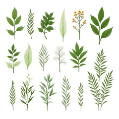 Naklejka premium Illustration of various leaves and flowers