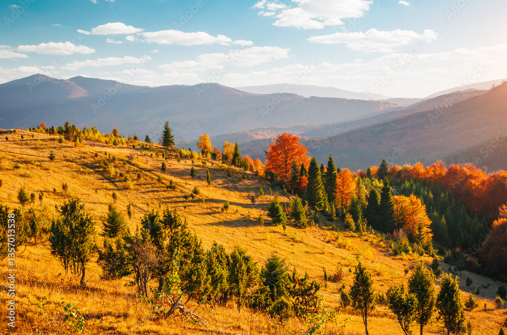 Aufkleber breathtaking view of the colorful slopes of distant hills illuminated by the sun's rays. carpathian 