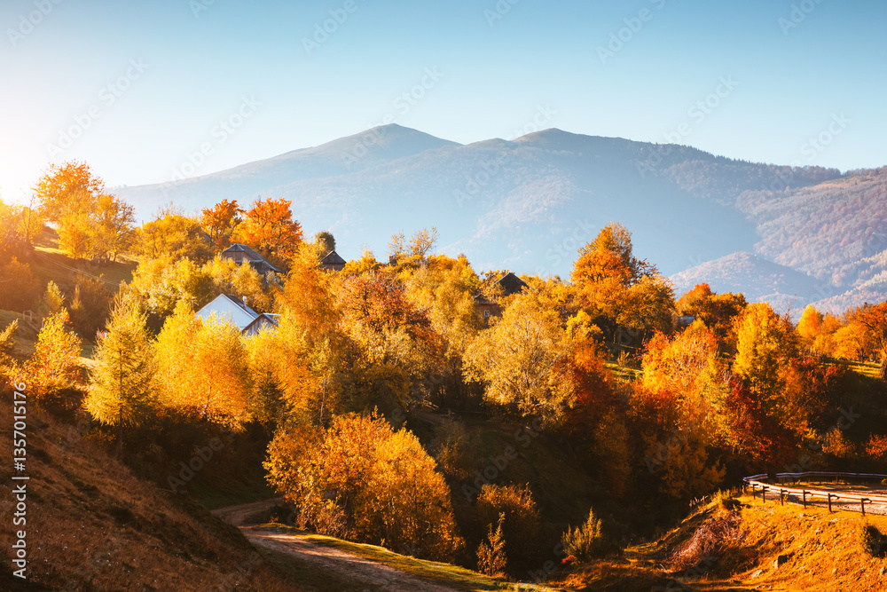 Aufkleber a magical autumn day in the mountains with multi-colored trees in the warm rays of the sun. carpathi