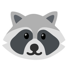 Raccoon Face
