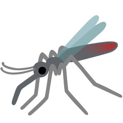 Mosquito
