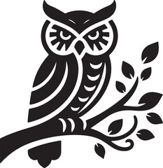 owl on white background