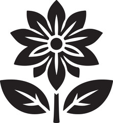 black and white flowers