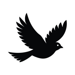 dove of peace flying in sky 