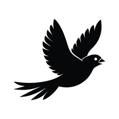 dove of peace flying in sky 