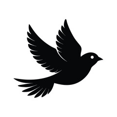 dove of peace flying in sky 