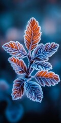 Frozen Autumn Close-Up of Delicate Frost-Covered Leaves, Nature s Winter Transformation