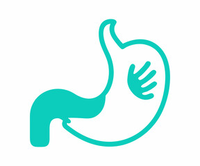 Simple Illustration of the Human Stomach
