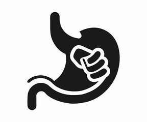 Simple Illustration of the Human Stomach