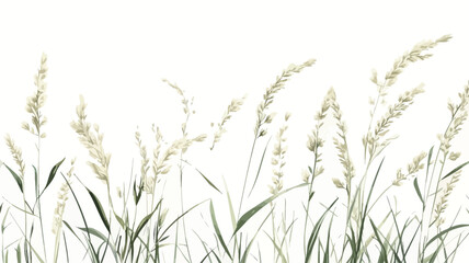 A digital illustration depicting a horizontal arrangement of various types of wild grasses. The grasses are rendered in shades of green and beige, with delicate details on the seed heads.  The