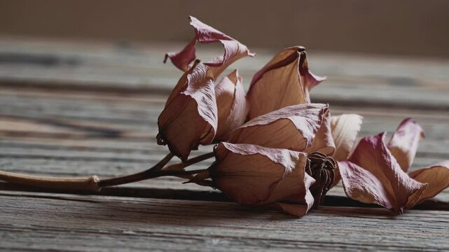 Close-up video of dried flowers on a rustic wooden surface, captured from a low angle, highlighting textures and muted colors in a vintage style.