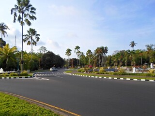 Fototapeta premium A Tropical Roundabout with Palm Trees, Fountains, and Lush Landscaping Under a Bright Sky