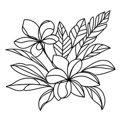 Continuous line drawing of Plumeria flowers. Single-line art tropical plant hand drawing Plumeria flowers vector illustration.