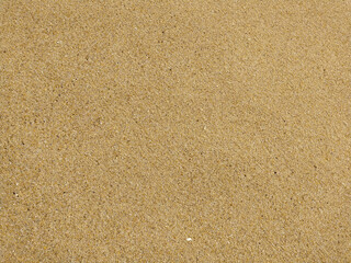 Fine golden sand covering a beach during a sunny day with clear skies, creating a serene and tranquil atmosphere for relaxation