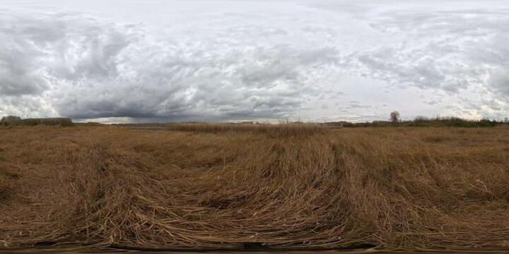 VR360 Autumn field with dry grass in cloudy day in autumn season