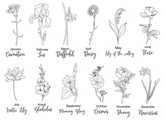 Set of flower line art vector illustrations. Carnation, daffodil, larkspur, honeysuckle, tulip, lilies, peony, cosmos hand drawn black ink illustrations. Birth month flowers for jewelry, tattoo, logo
