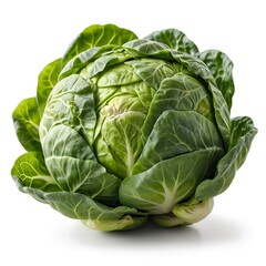 Obraz premium Fresh Green Cabbage Isolated on White Background