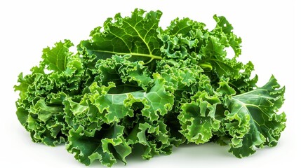A handful of fresh baby kale leaves, isolated on a transparent white background, with dark green curly leaves 