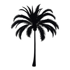 black palm tree silhouette. 3D illustration