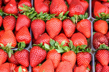 strawberries in a market
