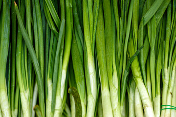 fresh green onions