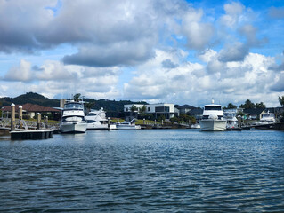 Fototapeta premium Canoe on the canal of Whitianga on New Zealand