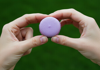 Closeup of Hands Holding a Purple Macaron Against a Green Background