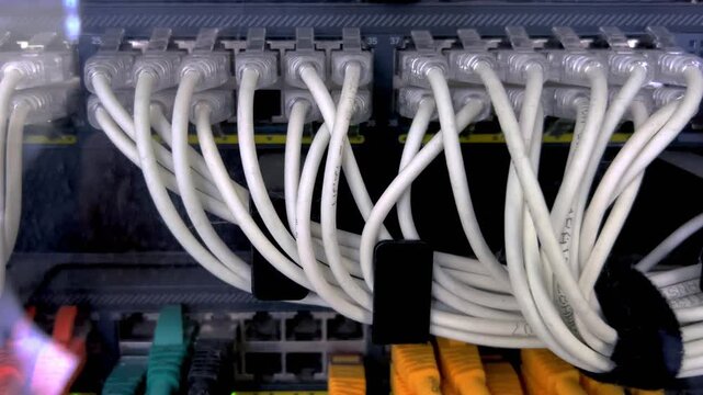 Server racks with white internet patch cords connected to a black numbered patch panel with green LED lights flashing in a server room. Intranet networks