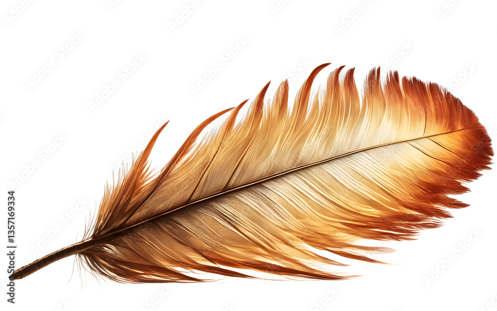 Aufkleber phoenix feather radiating warm light, isolated on a empty plain background