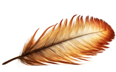 Phoenix feather radiating warm light, isolated on a empty plain background