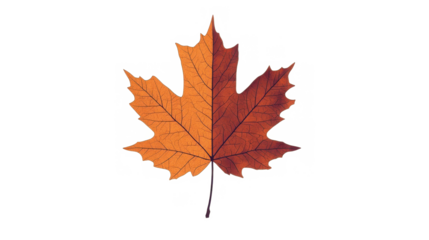 Stylized minimalist flat design of a single maple leaf in rich brown hue symbolizing autumn, isolated on transparent background