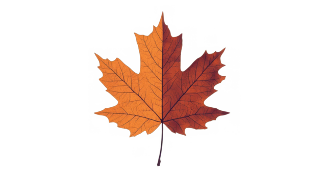 Stylized minimalist flat design of a single maple leaf in rich brown hue symbolizing autumn, isolated on transparent background