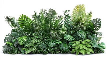 Tropical Greenery Collection