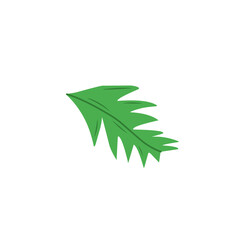 dandelion leaf vector