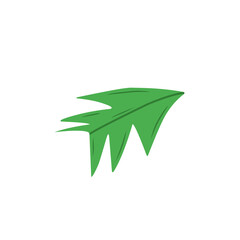 dandelion leaf vector
