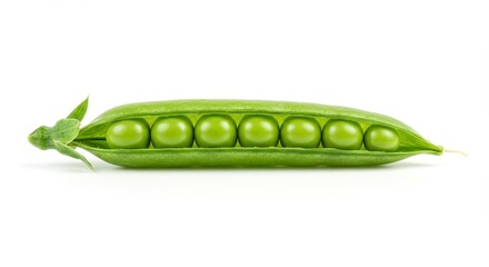 Closeup of Fresh Green Pea Pod with Multiple Peas on White Background