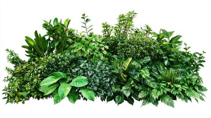 Obraz premium Lush Garden Bushes