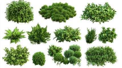 Lush Garden Bushes