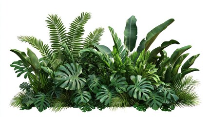 Tropical Foliage Bush