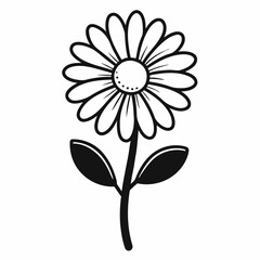 white flower on a black background