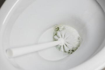 Toilet brush in toilet bowl. Cleaning concept.