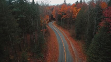 Driving on Forest Road with Colorful Autumn Foliage From Above